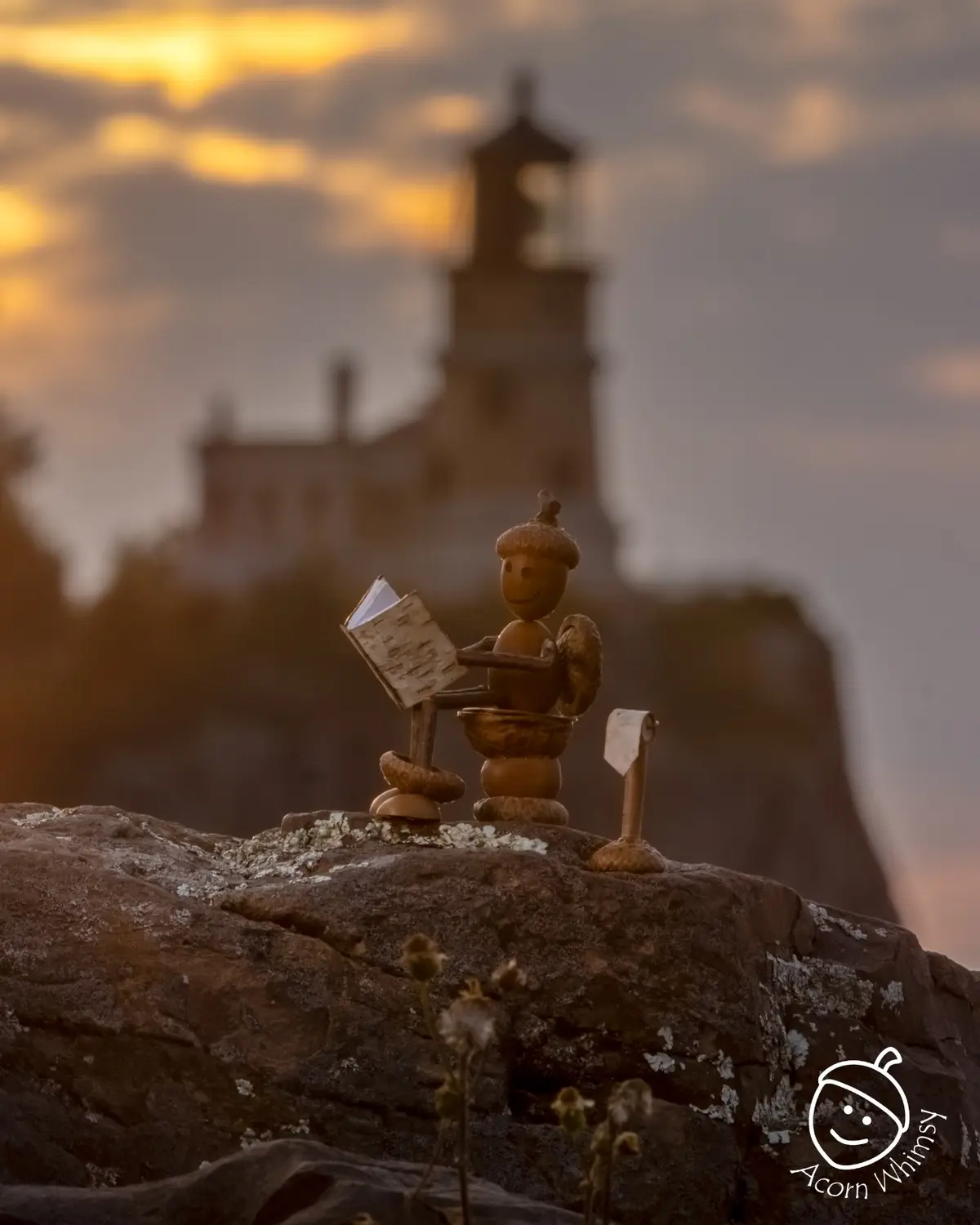 A tiny, smiling acorn figurine sits on a rocky cliffside, reading a book while a small, acorn-shaped toilet paper holder…