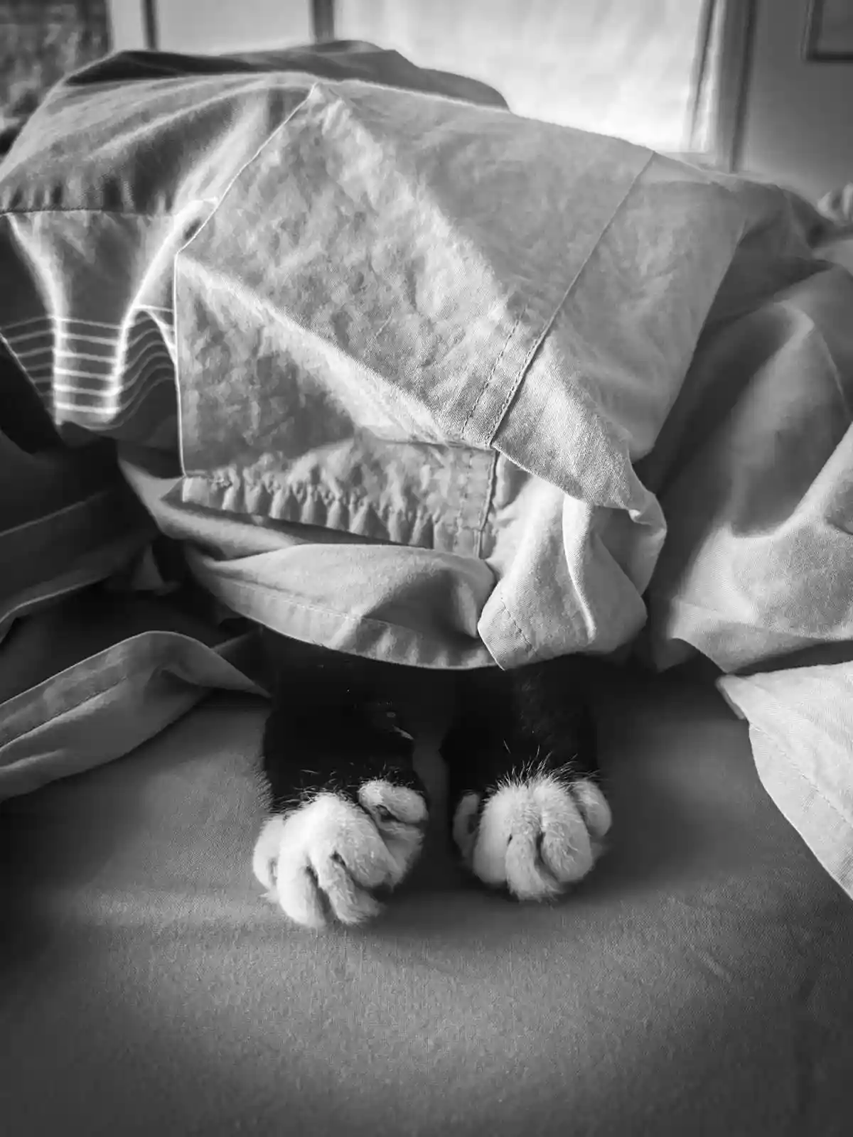 Invisible but always present
