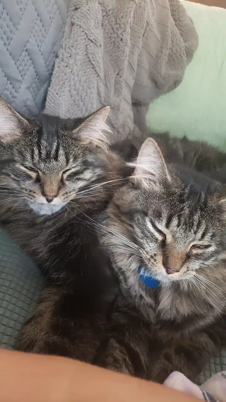 Help Us Find a New Home, Please!