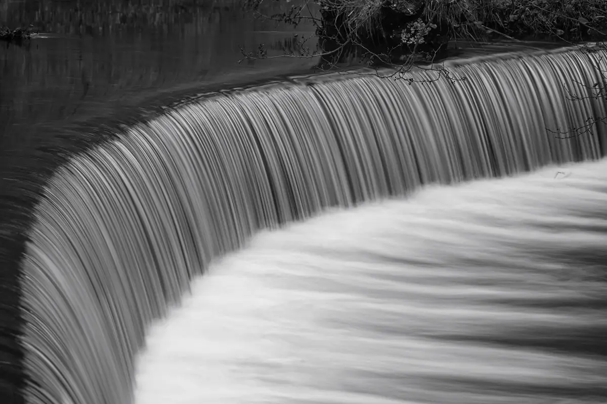 Just a Bit Quirky: Meet Weir