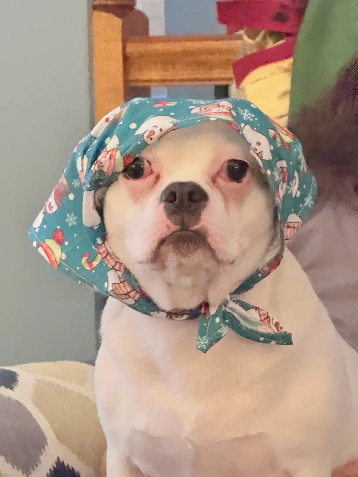 Meet Grandma Iggy!