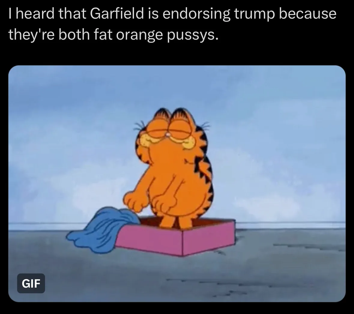 The image shows the cartoon cat Garfield sitting inside a pink box with a blue blanket beside him, looking smug and content…