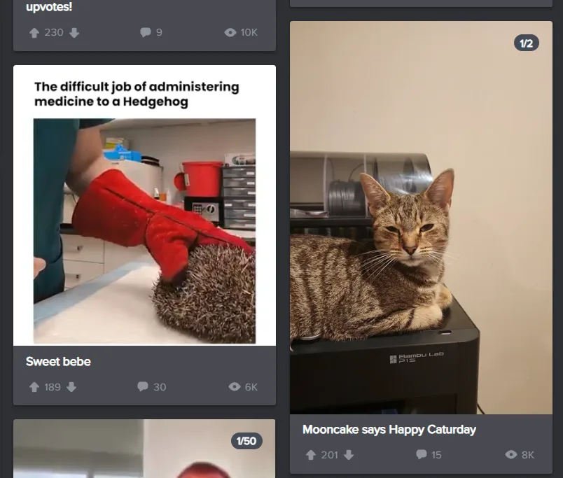 Had to do a double take on that one!