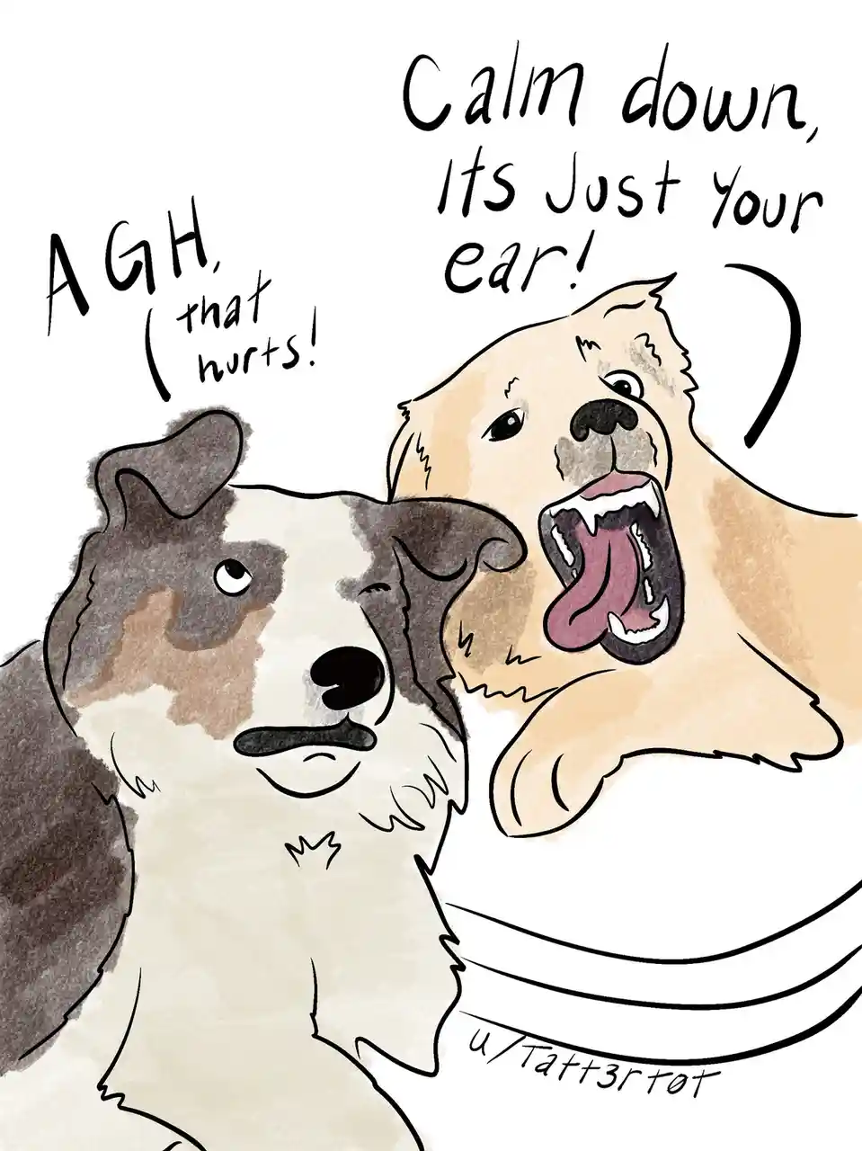 "I swear they’re actually best friends" - u/Raveler_gav