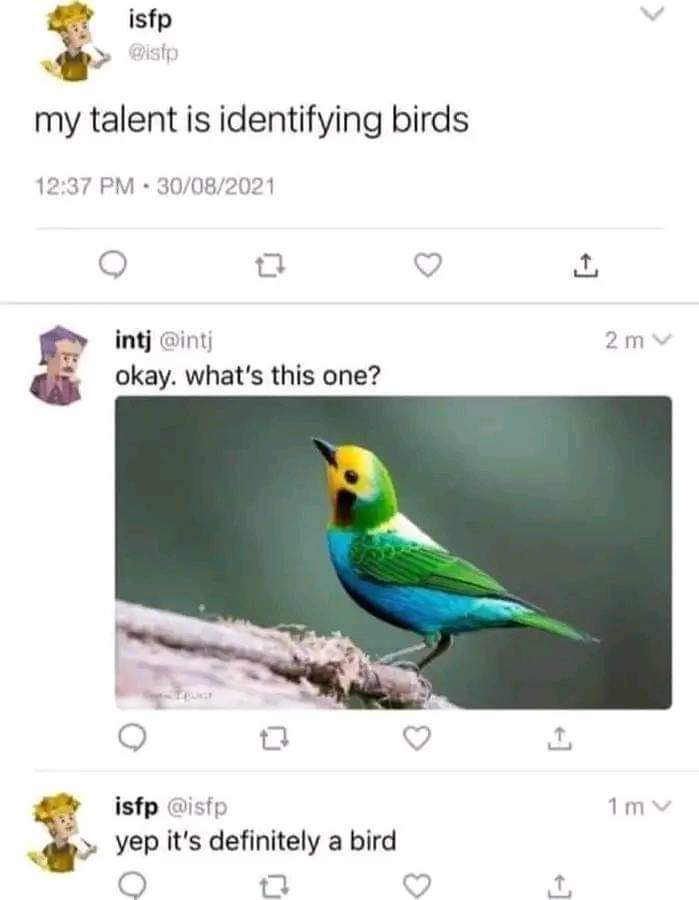 Is That a Bird or Something Else?