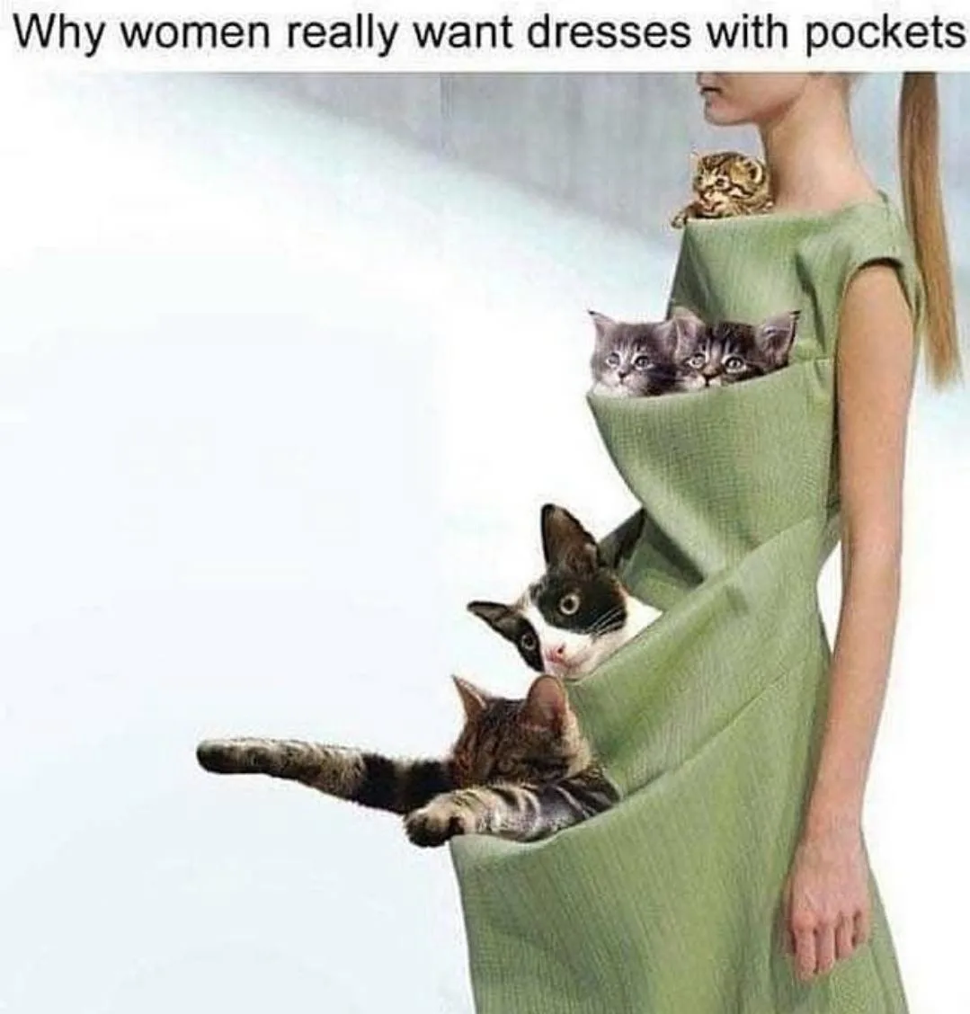 A woman in a green dress with multiple pockets, each containing a different cat. One cat is on her shoulder, two are in an…