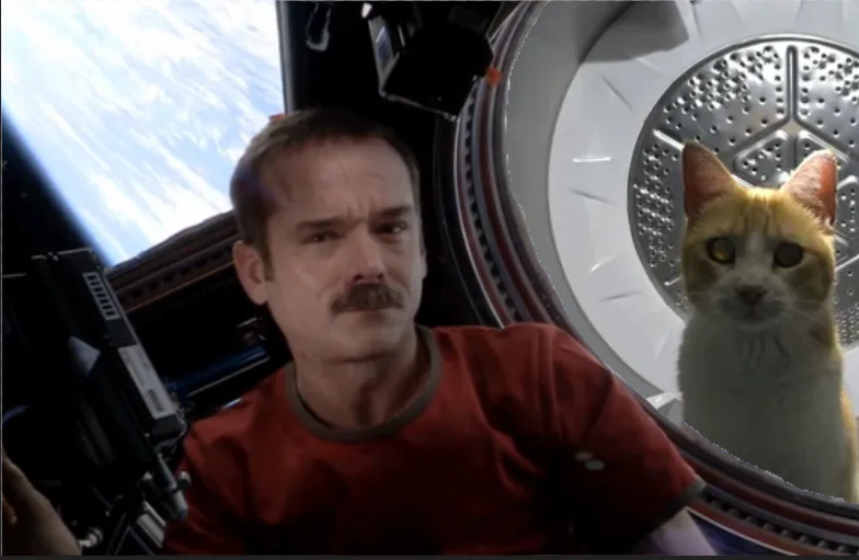 A man with a mustache in a red shirt looks concerned while floating in space, with Earth visible outside a window. A cat…