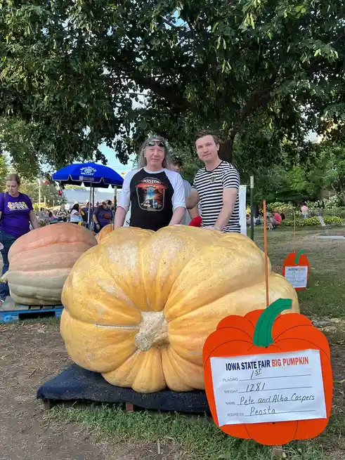 The Enormous Pumpkin That Steals the Show
