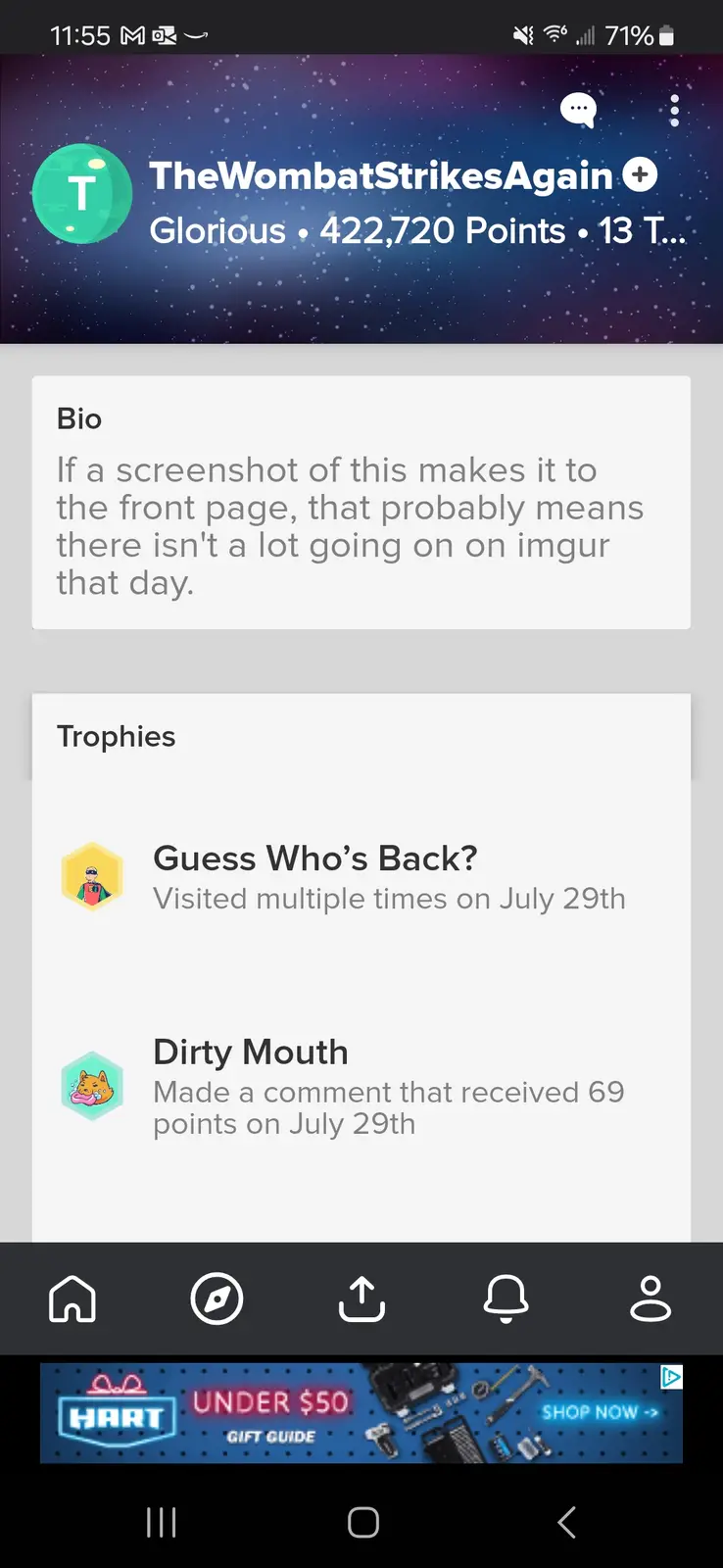 A screenshot of an Imgur user profile for 'TheWombatStrikesAgain' showing a bio that reads 'If a screenshot of this makes it…
