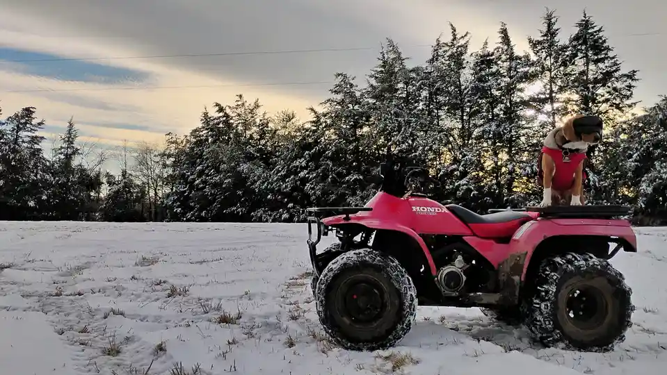 Whether It's Snow or Sunshine, We're Ready!