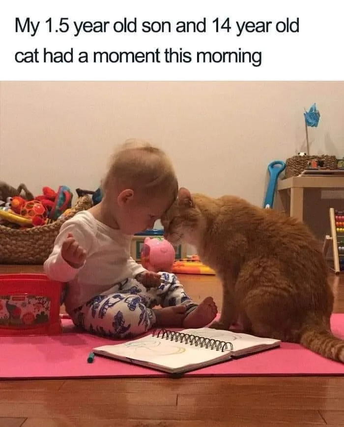 A toddler in pajamas sits on a pink mat, leaning forward to gently touch noses with an orange tabby cat. The cat sits calmly…