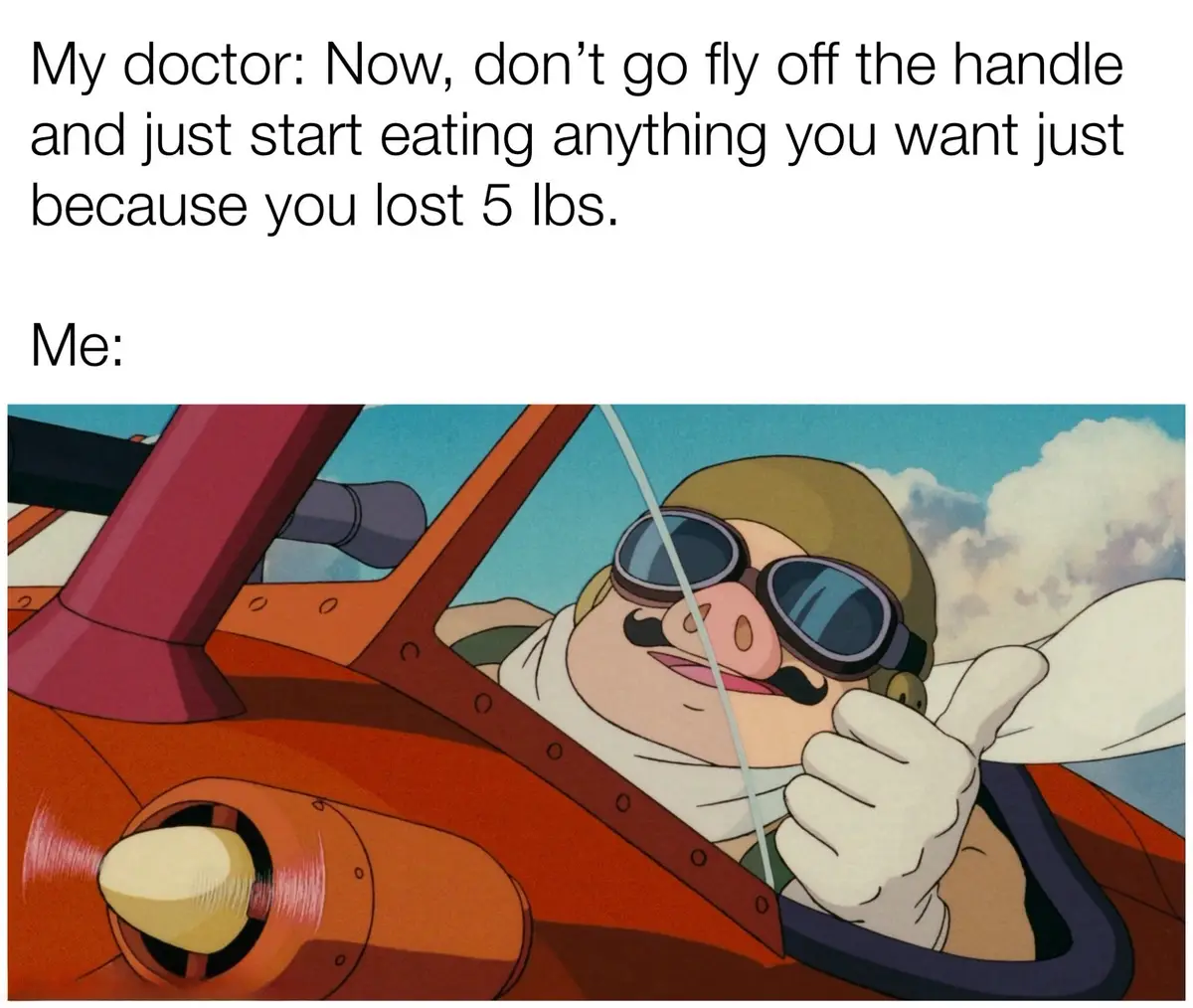 The image shows a cartoon pig pilot in an orange biplane, wearing goggles and a scarf, giving a thumbs-up with a smug…