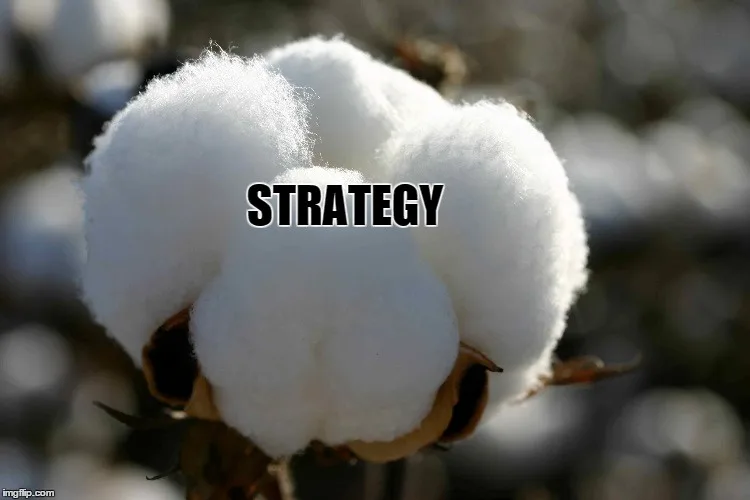 When Team Acorn Strategically Falls Back to Trick Team Pinecone