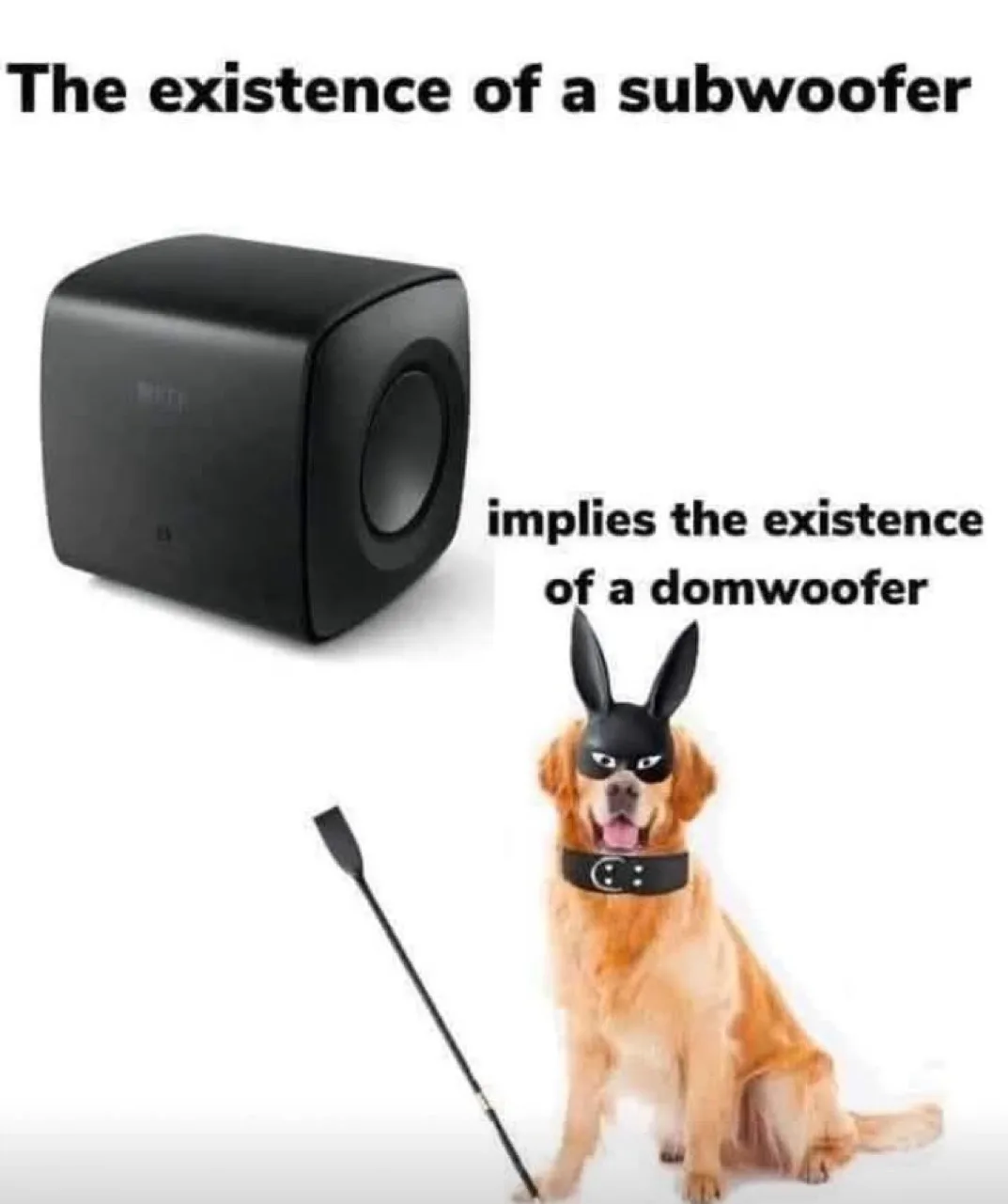 The Secret Code Word is Kibble...