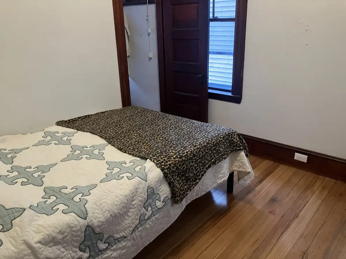 Charming Apartment in Jamaica Plain