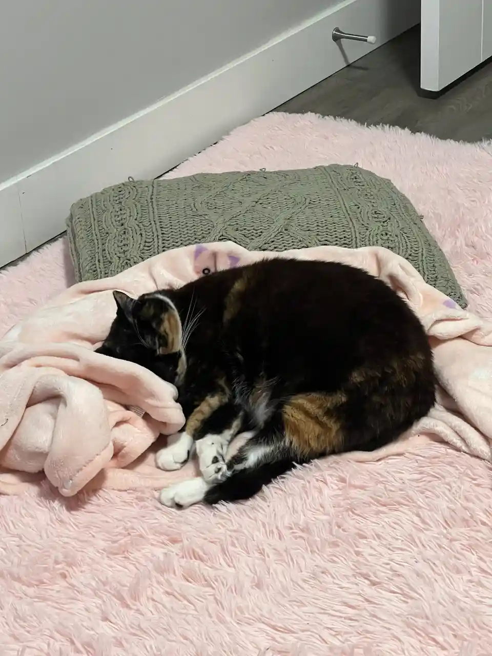 Chillin' with Sleepy Mow: Episode 6