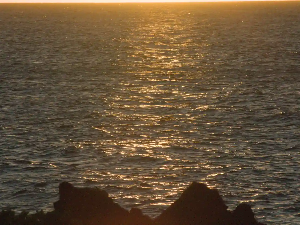 The mesmerizing glimmer of the oceans