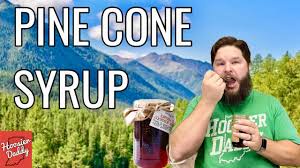 Pinecones: the ultimate multitaskers of nature!
