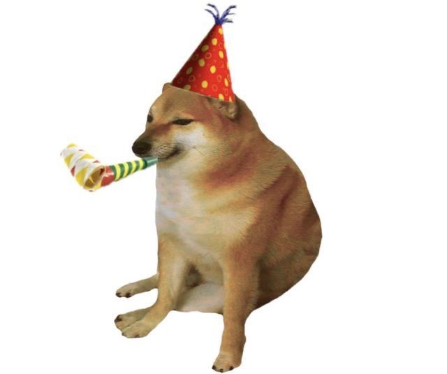 a shiba inu dog wearing a red party hat with yellow polka dots and holding a striped party horn in its mouth, sitting…