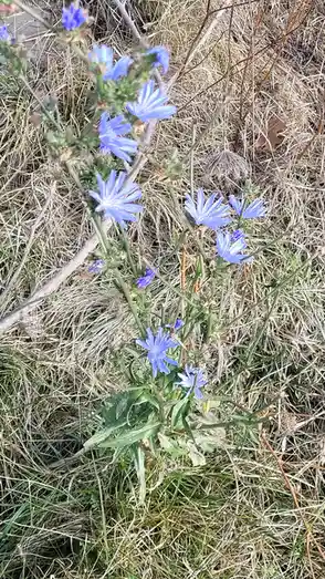 Just Hanging In There