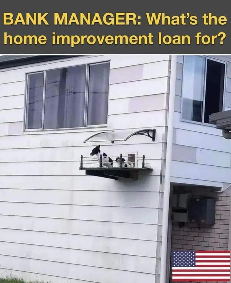 A black and white dog sits on a small, metal, wall-mounted balcony attached to the side of a white-sided house, looking out…