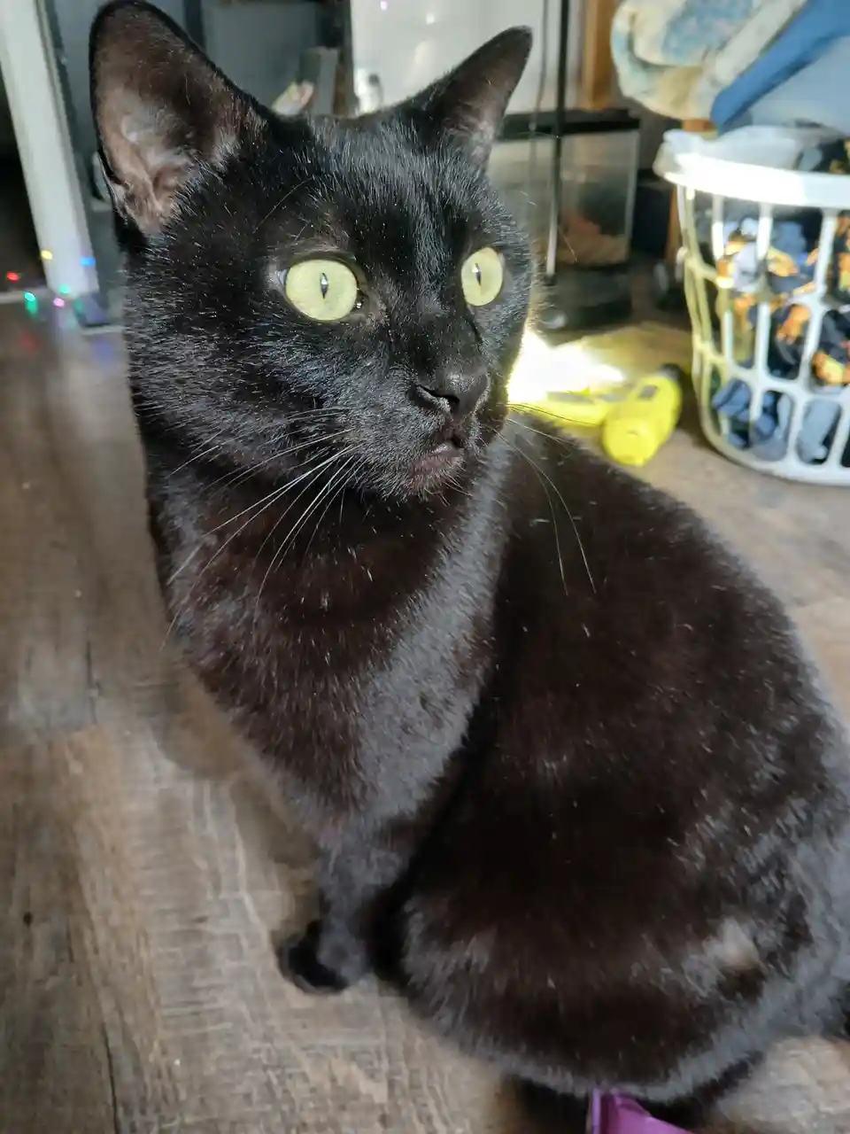 Something unexpected just happened!