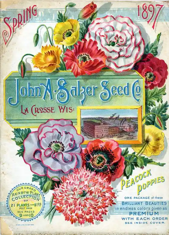 An antique 1897 seed catalog cover for John A. Salzer Seed Co. from La Crosse, Wisconsin, featuring vibrant illustrations of…