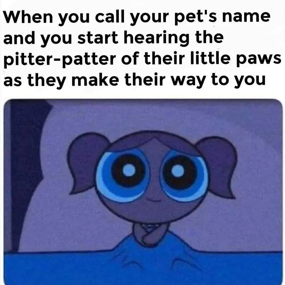 The image shows a cartoon character with large blue eyes and pigtails, looking expectantly forward. The text overlaid at the…