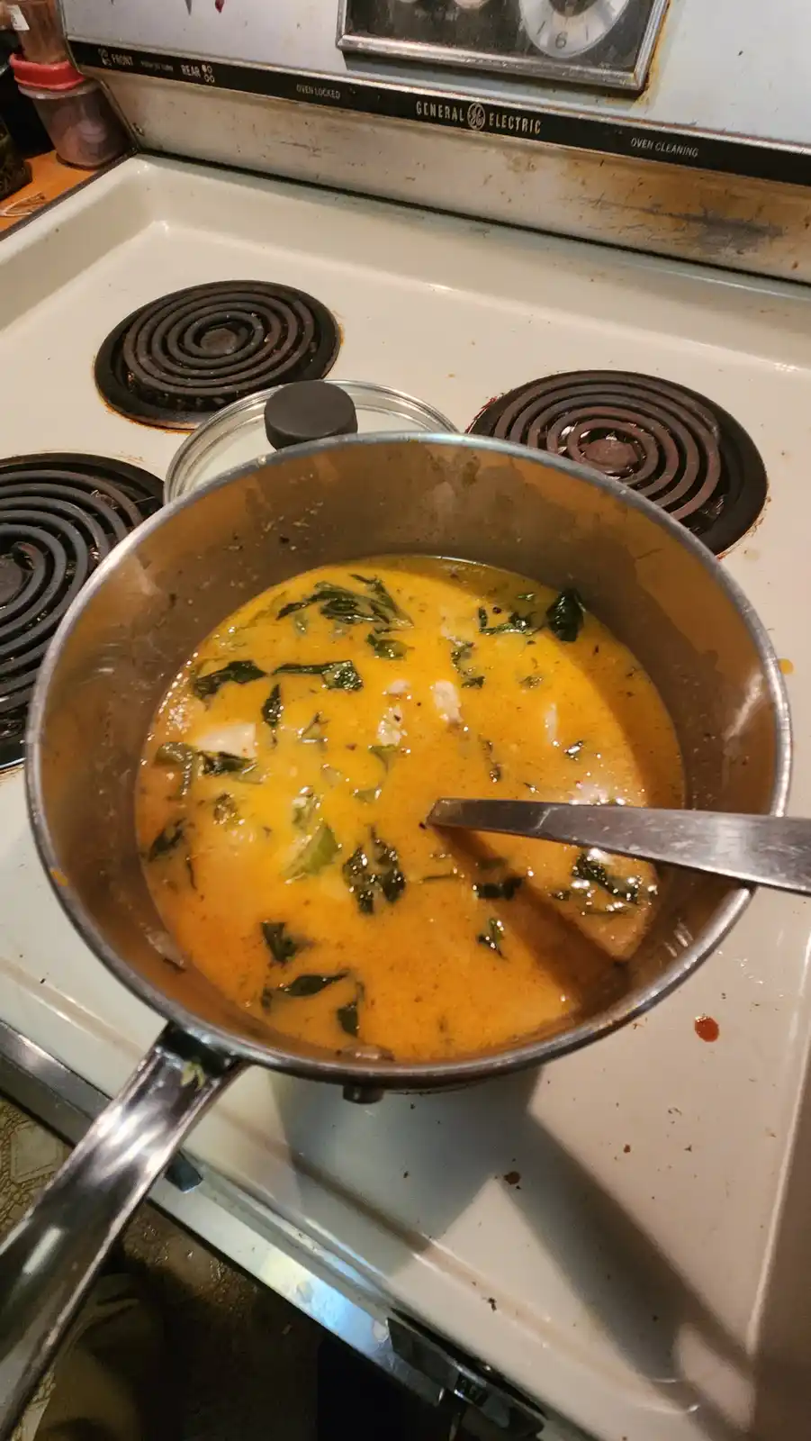 A metal saucepan sits on a white electric stove with black coil burners, containing a thick, orange-yellow liquid with green…