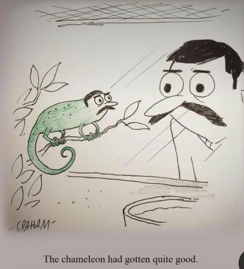A hand-drawn cartoon shows a green chameleon with a mustache and a human-like face perched on a branch, looking at a large…