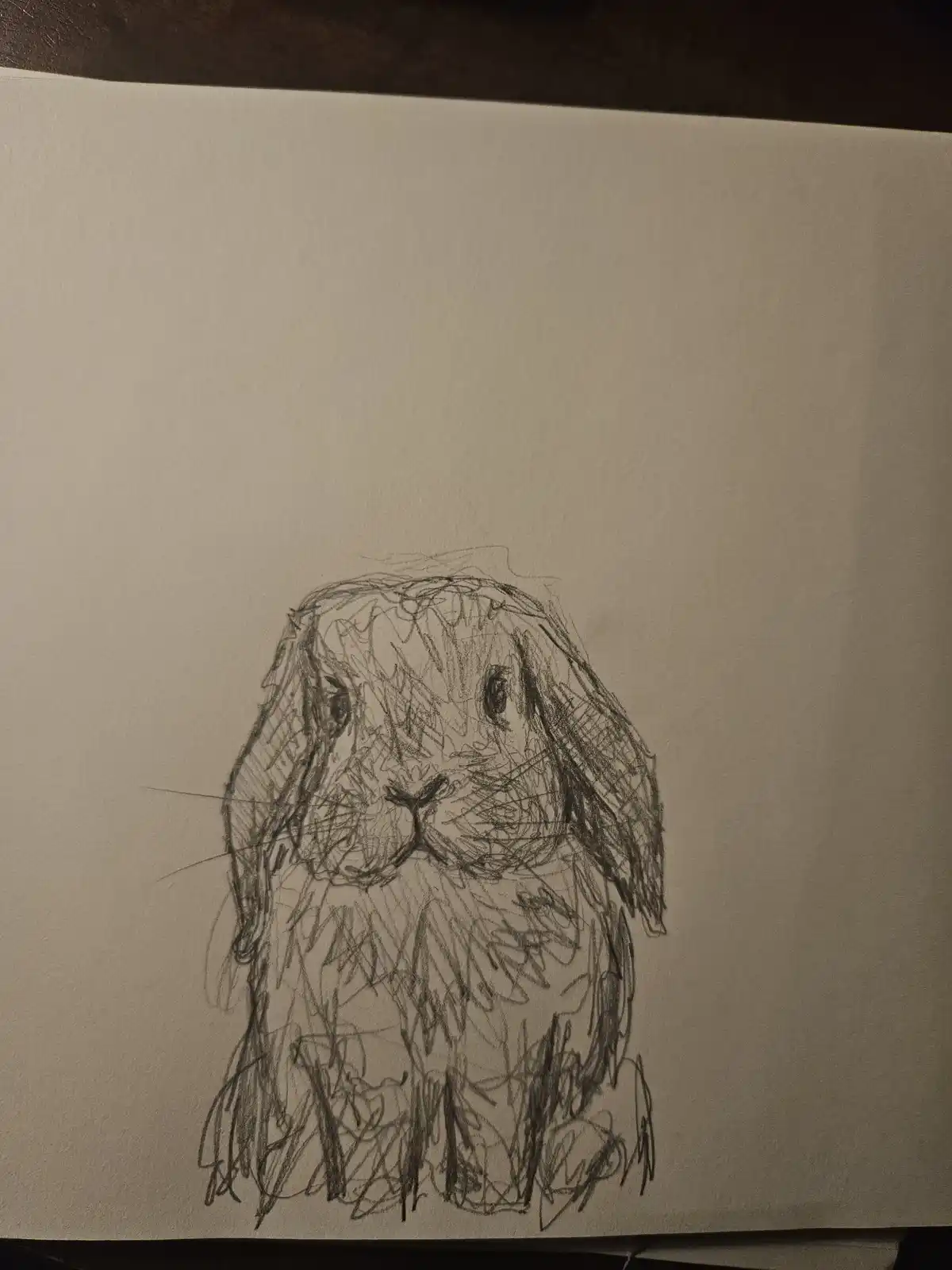 A Quick Sketch of a Bunny