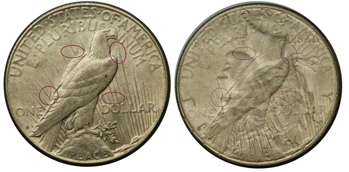 The image displays both sides of a United States Peace Dollar coin, with five pink circles drawn on each side to highlight…