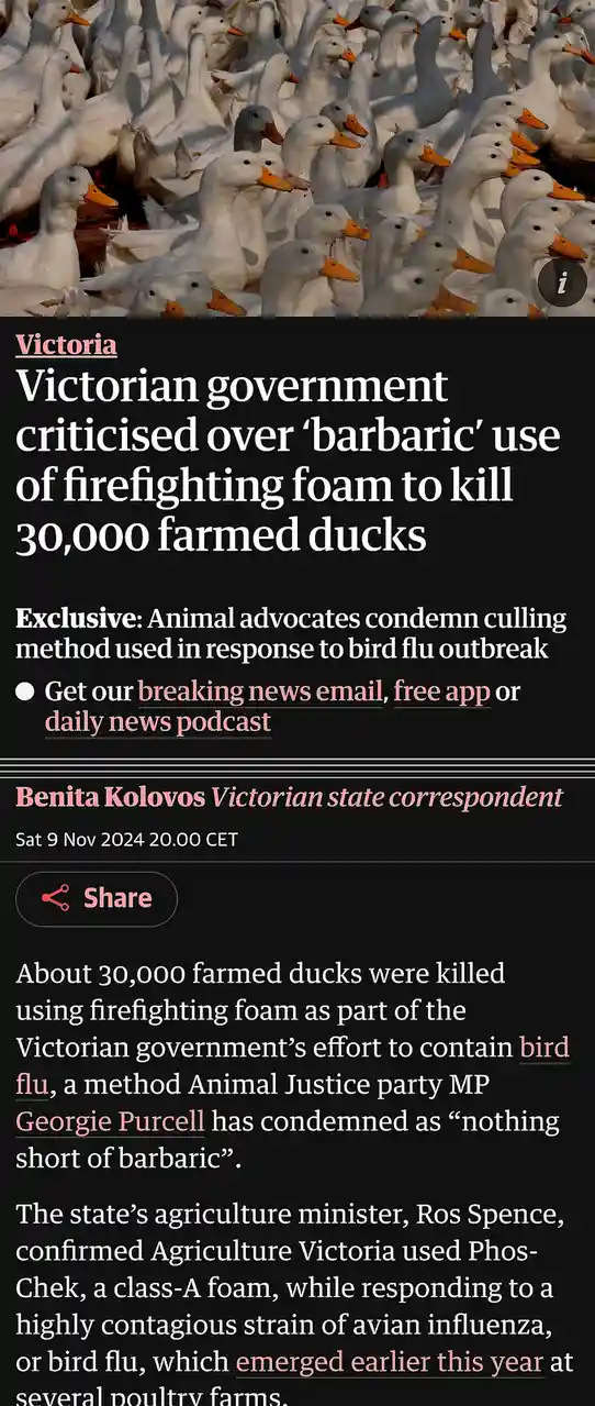 First, We Test on Animals, Then We Bring It to Australia