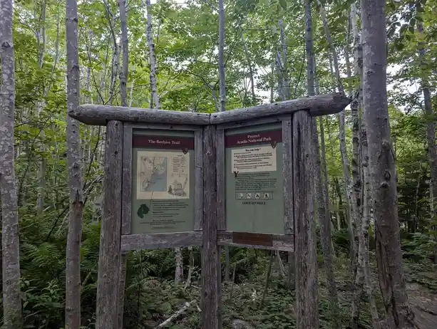 Exploring the Beehive Trail in Maine