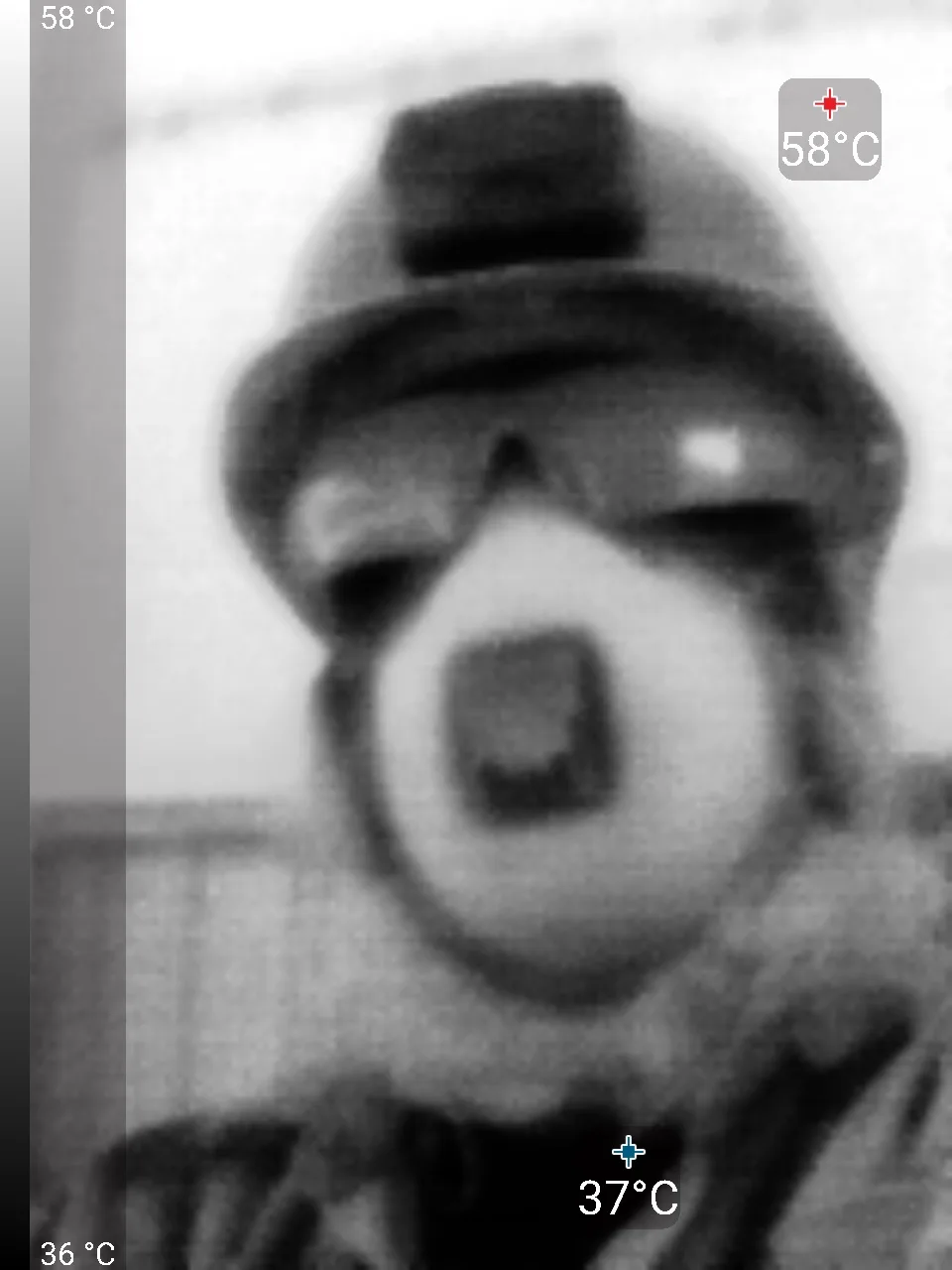 Capturing the Heat: A Thermal Selfie