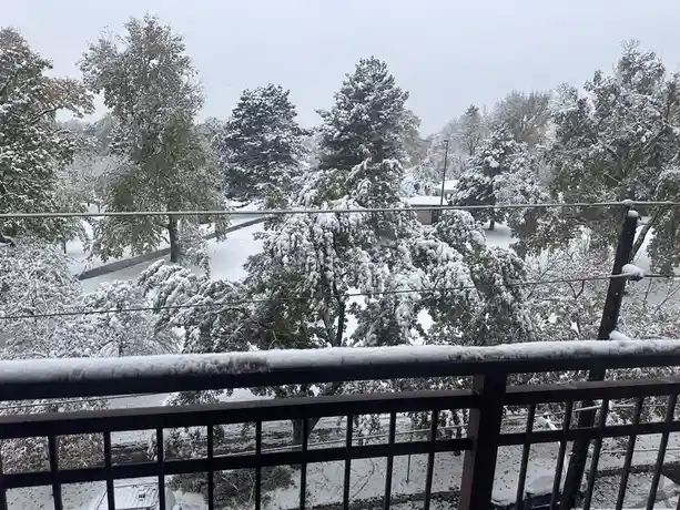 A snowy outdoor scene viewed from a balcony with a dark metal railing, snow-covered trees and ground, and a gray sky. The…