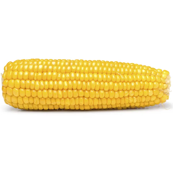 Just a single corn!