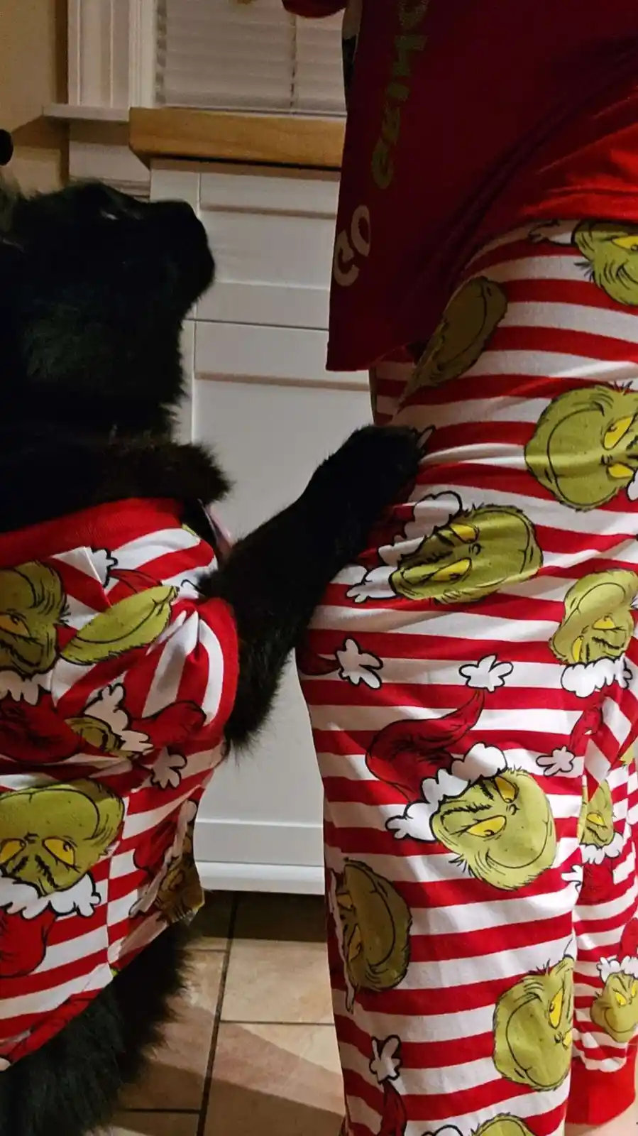 A black dog wearing red-and-white striped pajamas with Grinch faces on them is standing next to a person also wearing…