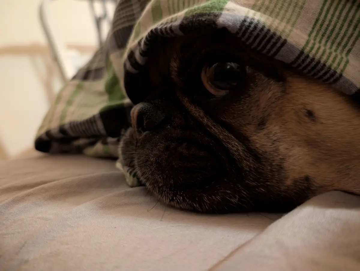 Did I hear someone mention snacks?
