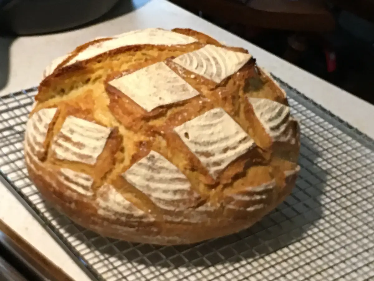 Delicious Einkorn Sourdough Boule Recipe