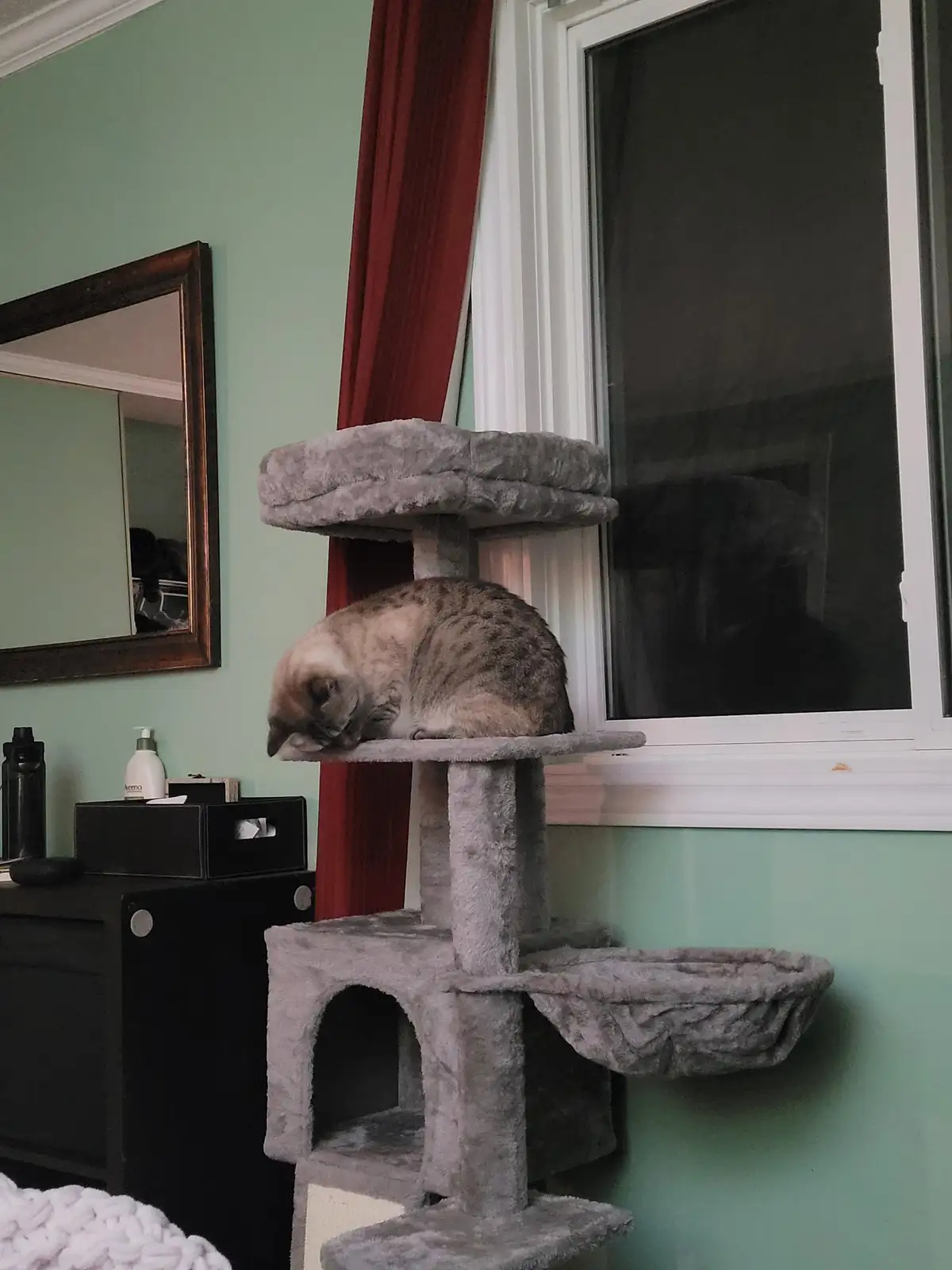A fluffy, light-brown tabby cat is curled up and sleeping on the middle platform of a grey, multi-level cat tree positioned…