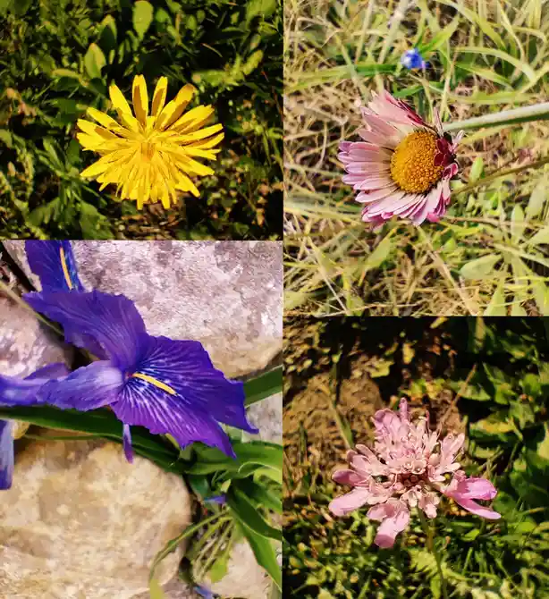 A Refreshing Nature Walk Adventure