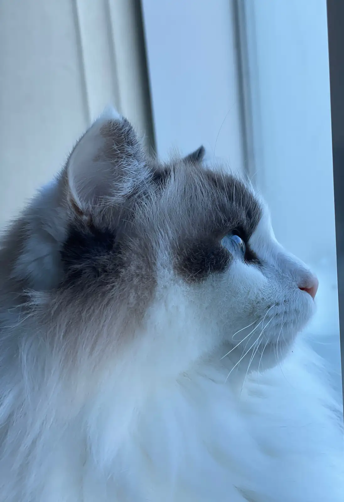 Catty's sassy side revealed