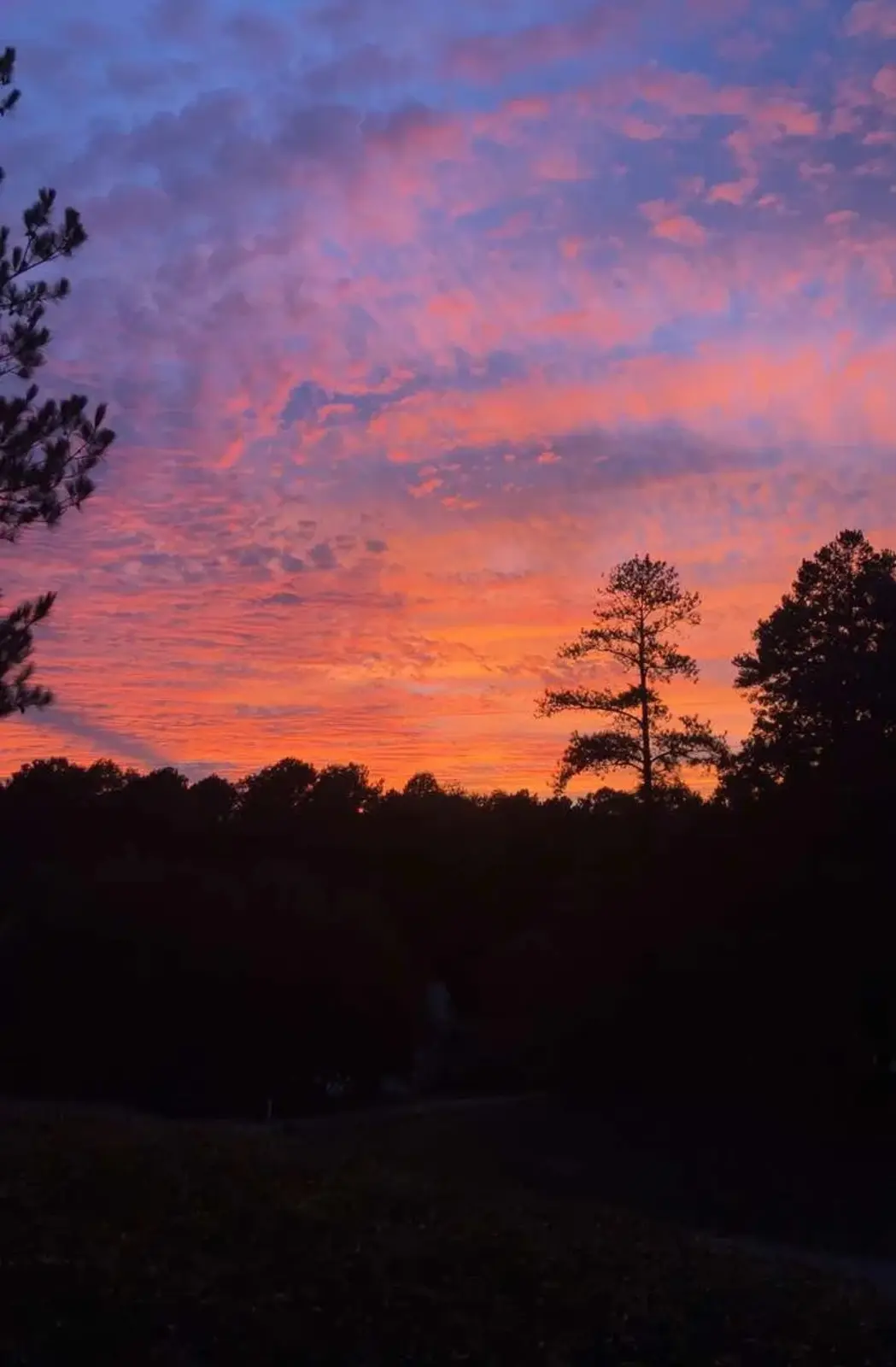 A photograph of a vibrant sunset with pink, orange, and purple clouds above a dark silhouette of trees and foliage. The…