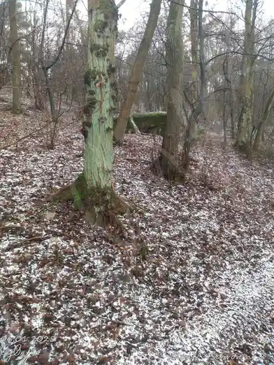 Ålesin - Hidden Chamber Number 8