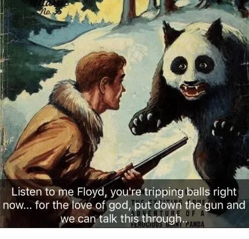 An illustrated vintage-style scene shows a man in a fur-lined coat holding a shotgun, facing a large, angry-looking panda…