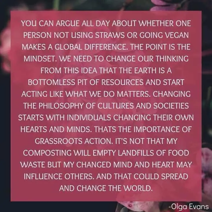 Embracing Change: A New Chapter