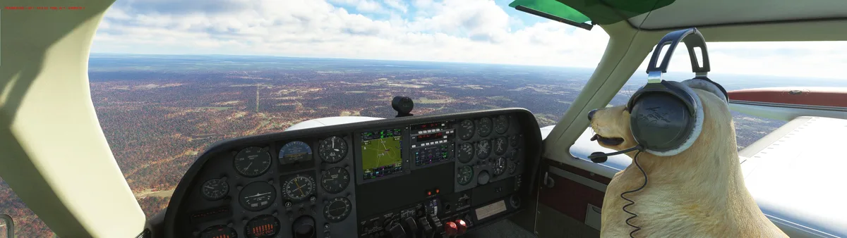 Meet my trusty co-pilot, 'Cessna Max'