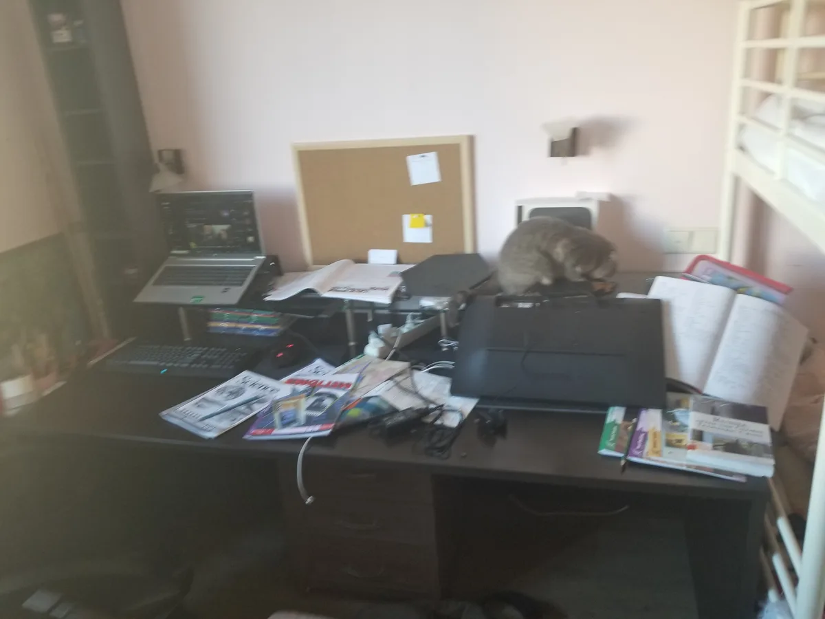 A cluttered desk with a laptop, open books, and scattered papers, where a gray cat is curled up and sleeping on top of a…