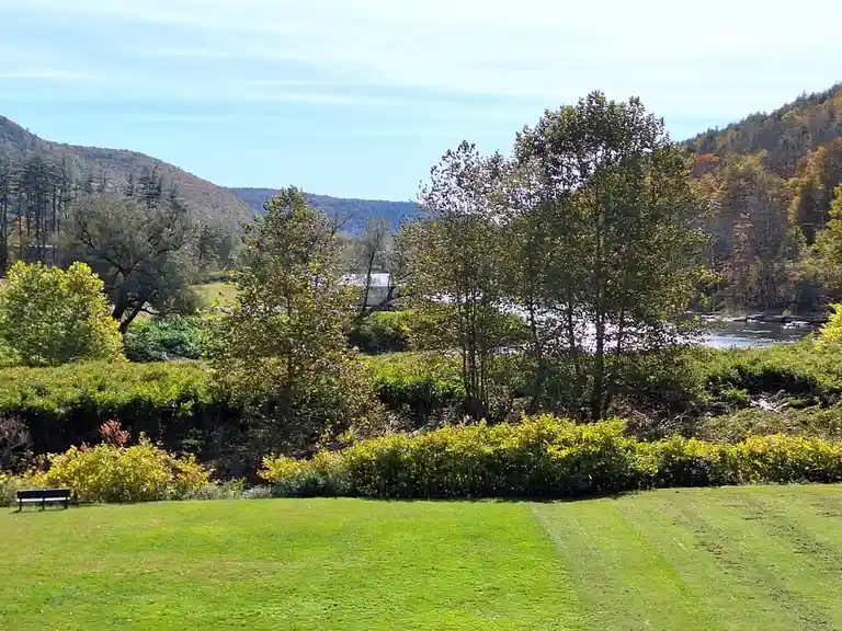A Serene View of the River